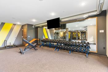 Free weights